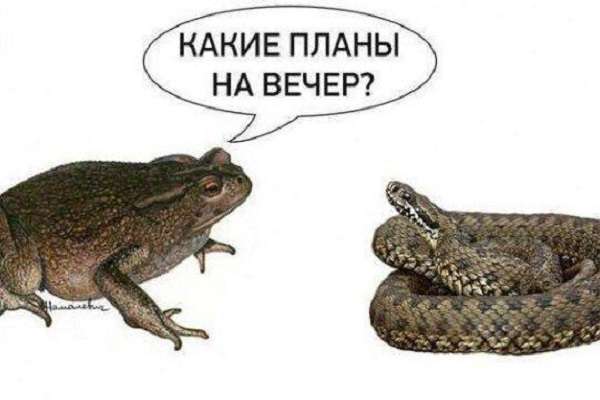 Ілон Маск знову посварився з Трампом